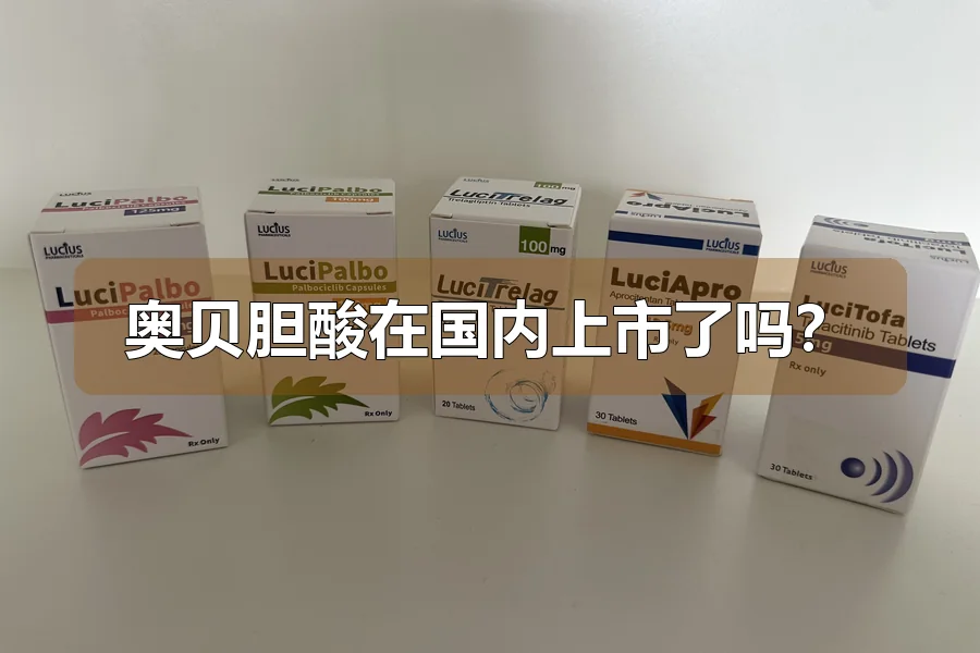 奥贝胆酸在国内上市了吗?